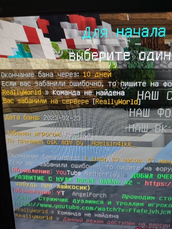 16771631878018790675685194434557.jpg