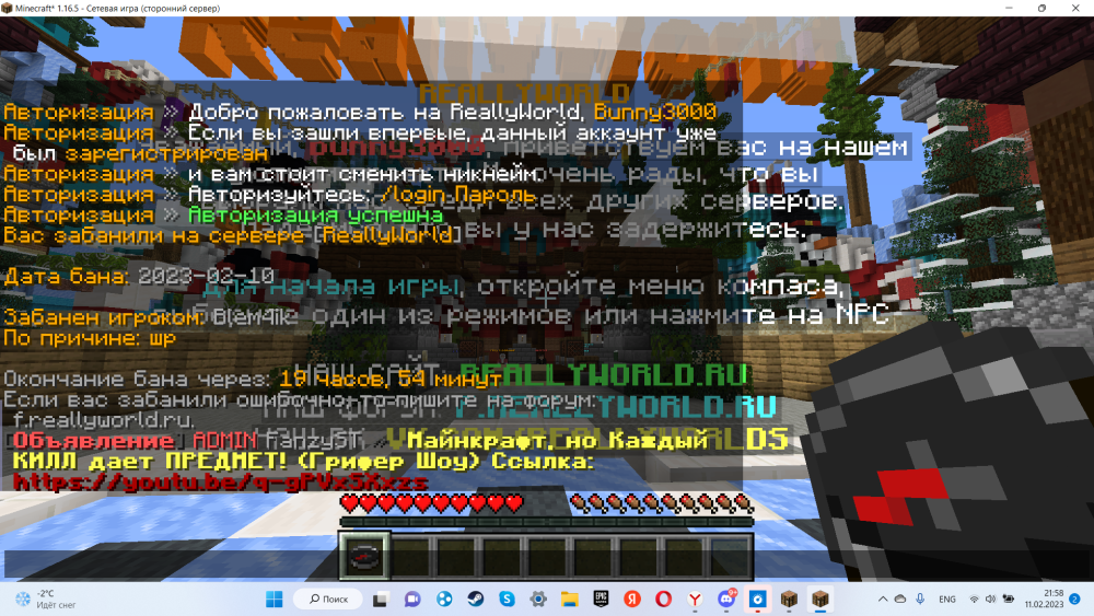 2023-02-11 (1).png
