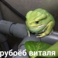 shknz3r01