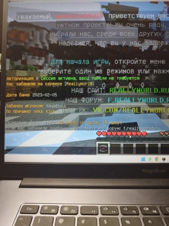 Изображение WhatsApp 2023-02-06 в 21.42.20.jpg