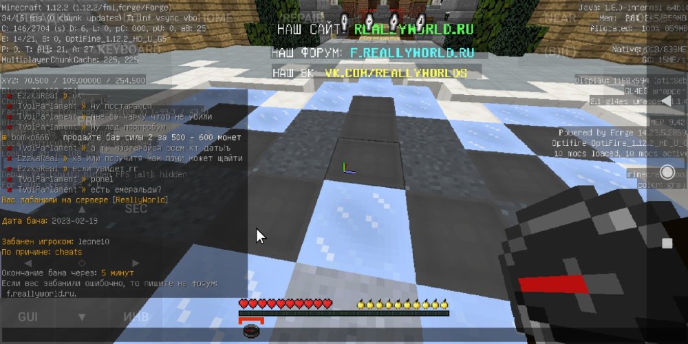Screenshot_2023-02-19-00-22-47-139_net.kdt.pojavlaunch.jpg