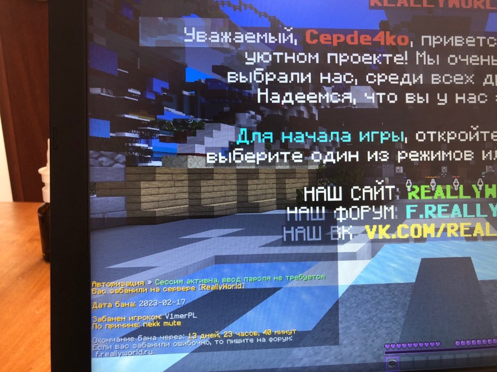 image.thumb.jpg.c4338c85313ee10e2be8896aad5090ad.jpg