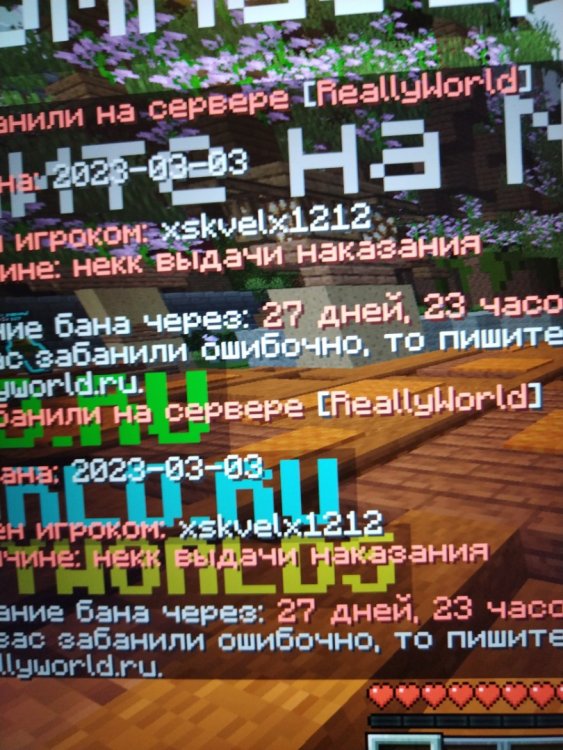16778331955845653555072685678521.thumb.jpg.6bf3abe0d1d71f0f0c295a633eb1d68e.jpg