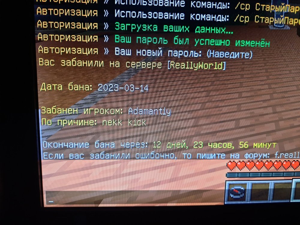 16788762297652088104844603342206.jpg