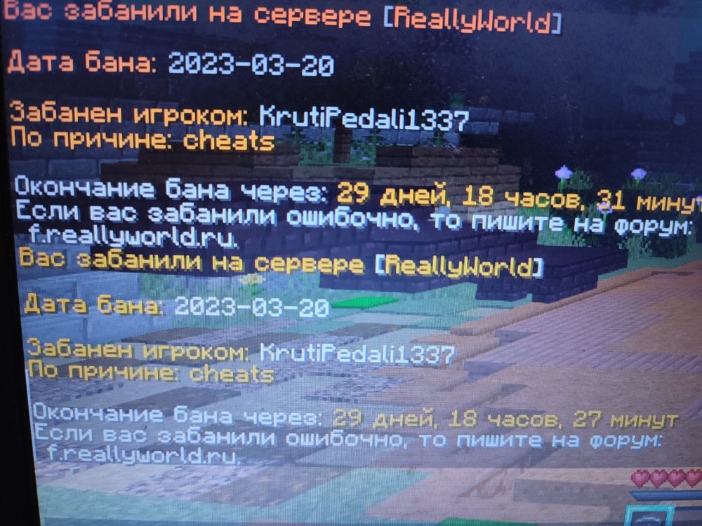 16793328999994332825533194542340.jpg