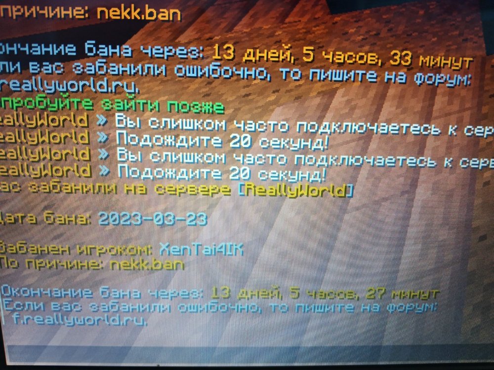 1679639042502.jpg
