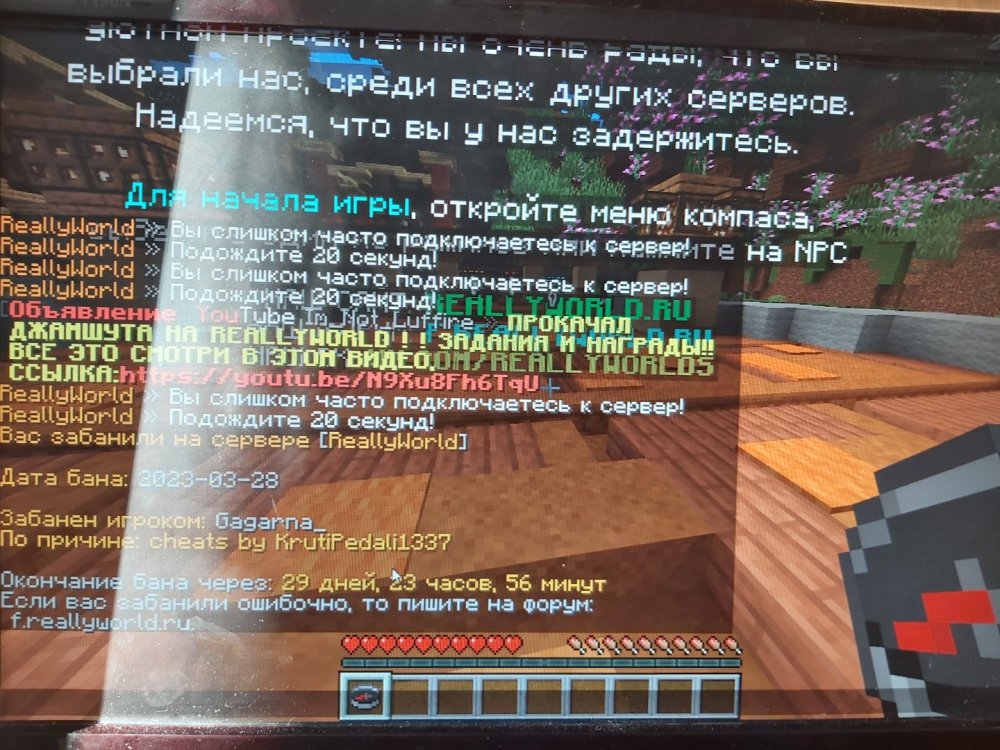 16800120803193895079547651751721.jpg