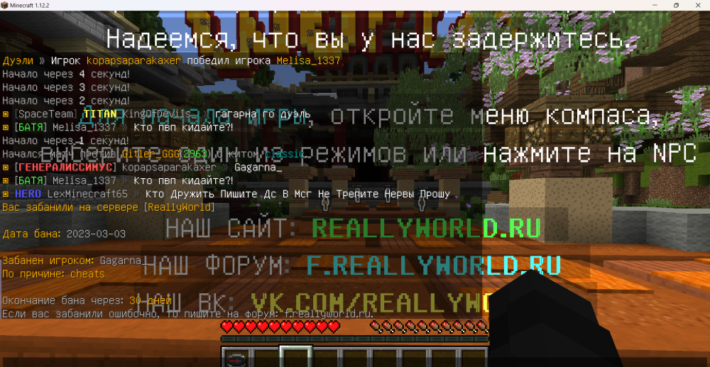 Minecraft 1.12.2 03.03.2023 0_32_43.png