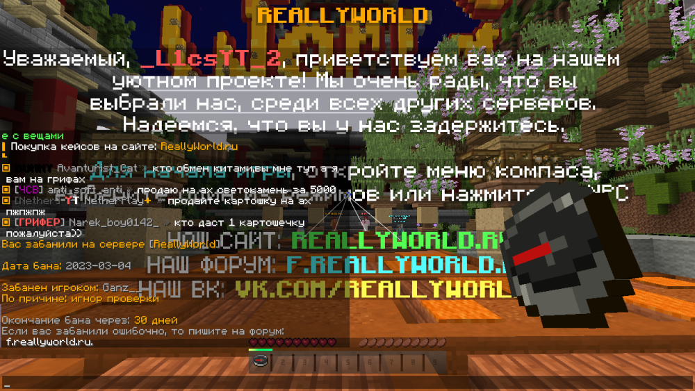 2023-03-04_13.23.52.png