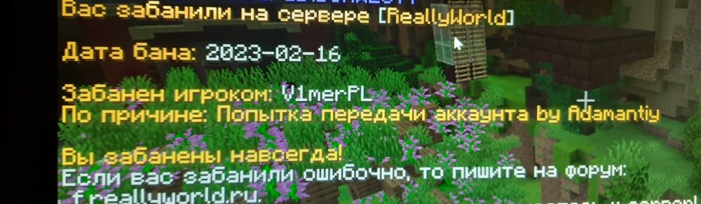 20230307_180126.jpg