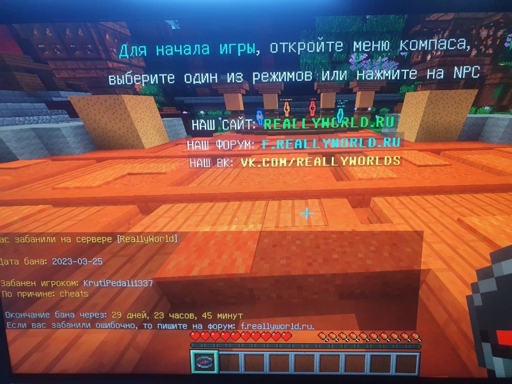 20230325_165540.jpg