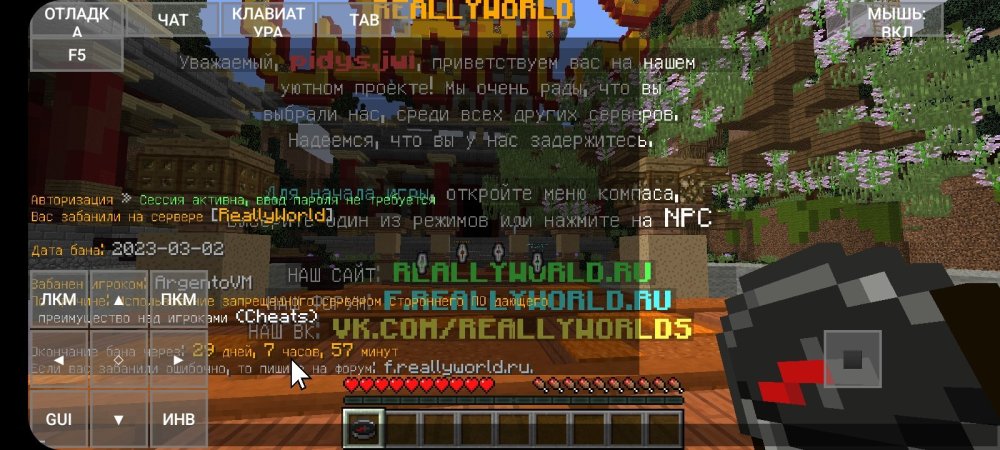 623786106_Screenshot_20230303-100700_PojavLauncher(MinecraftJavaEditionforAndroid).thumb.jpg.1be2c10585eaa50317dfac33f2276431.jpg