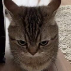 EvgenBroLeon