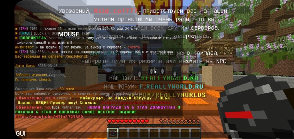 723398503_Screenshot_20230315_220831_PojavLauncher(MinecraftJavaEditionforAndroid).thumb.jpg.f8232601a921b7741ce9418c3a3ca125.jpg