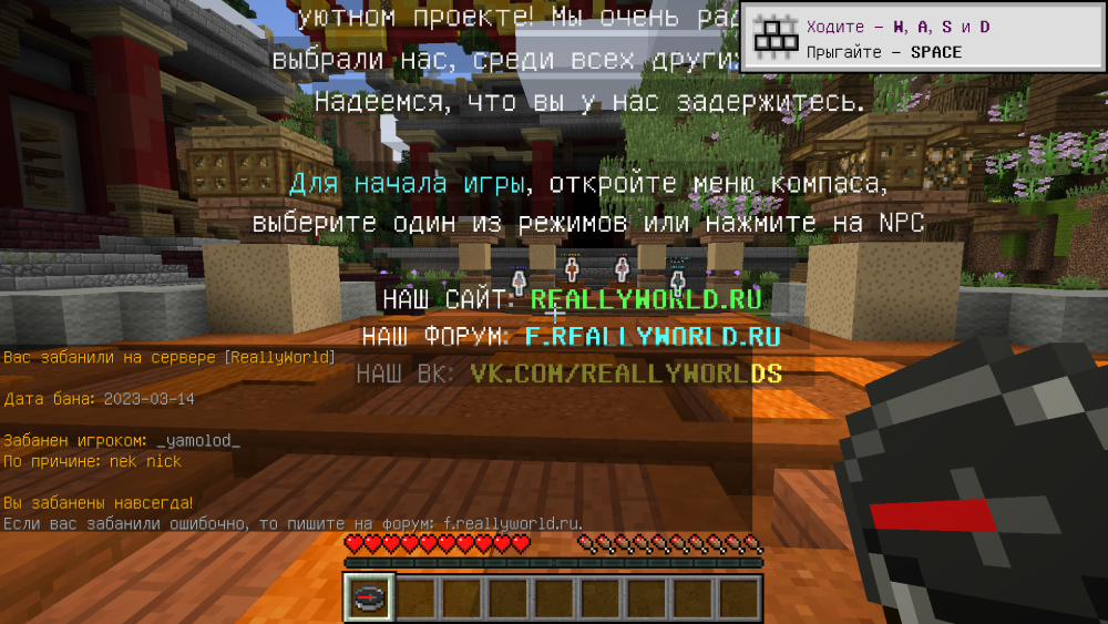 изображение_2023-03-14_123348228.png