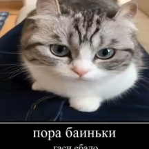 sobakenlol