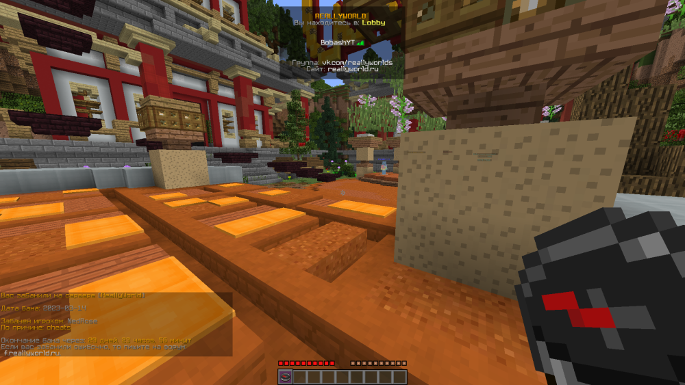 Screenshot_2023.03.14_-_13.49.55.14.png