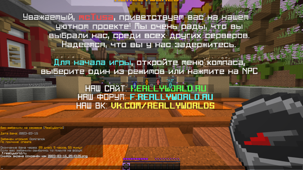 image.thumb.png.1b849b97c963a7e4bc9988b0501784db.png