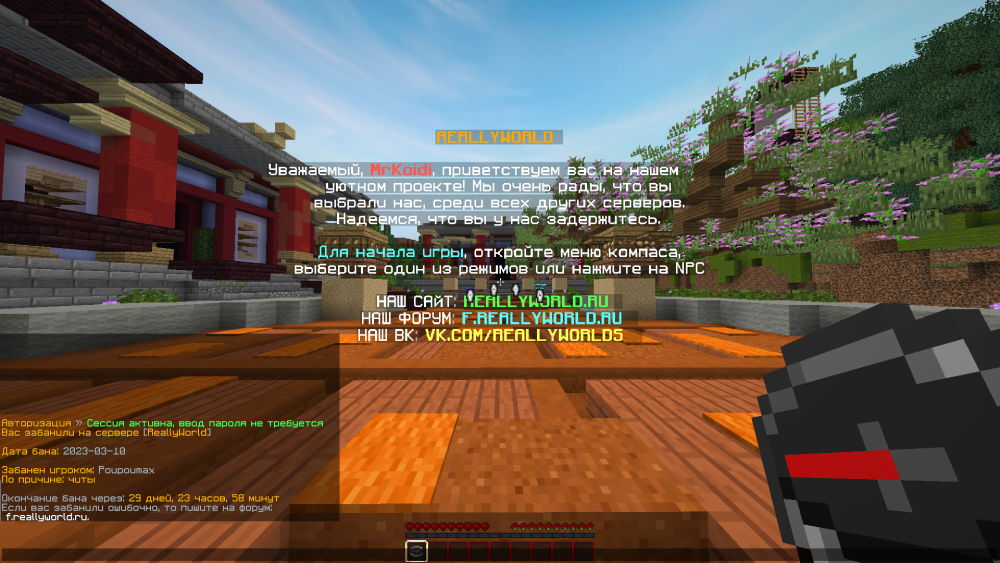 image.thumb.png.2470f0376b6e0f559726a617adfc1b9a.png