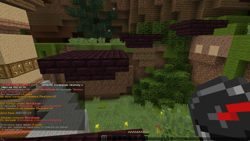 image.thumb.png.767ace740afbf2e4d94c20af96d87a78.png
