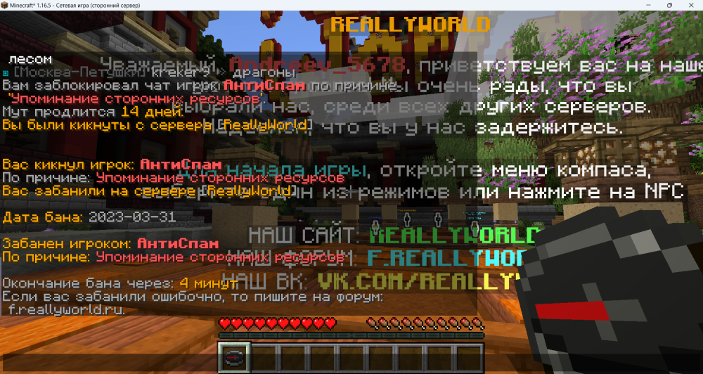 image.thumb.png.d4caf3d8084d2e522f5a5639d167b52b.png