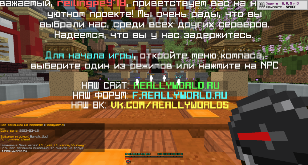 image.thumb.png.f258ec7e72b9aa51bcd9ba789149b34c.png