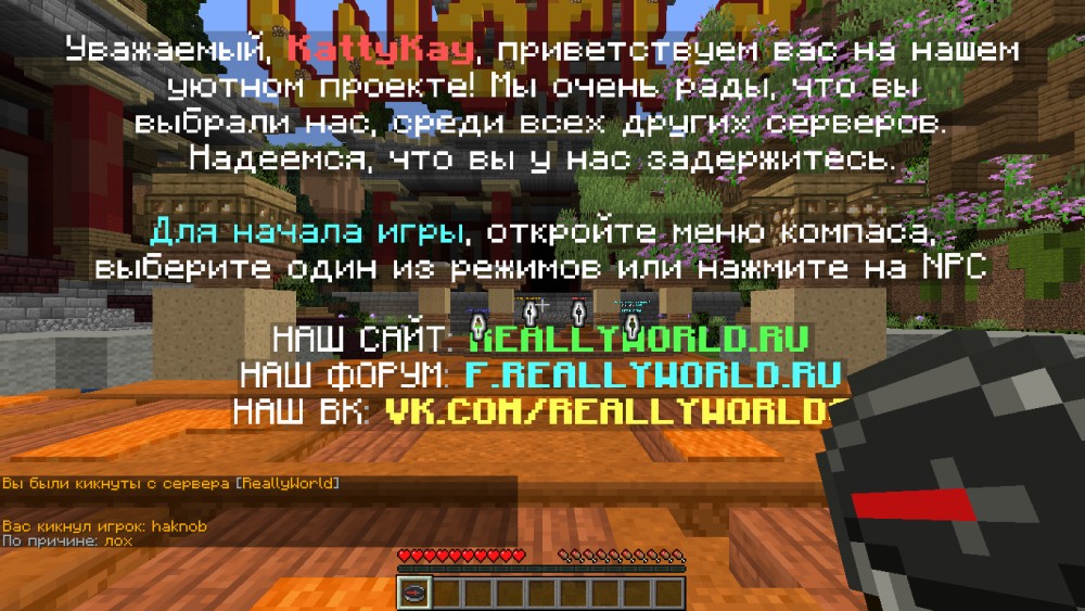 image.thumb.png.f5dc47683b417d6d50f5f2103bbed5dc.png