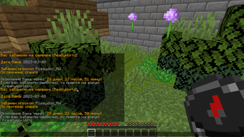 image.thumb.png.f8a6effe9a9efad1abef2d004a99f9d4.png