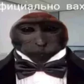 89658358527