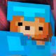 FleybiYT