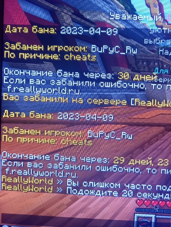16810642751027861917365855769912.jpg