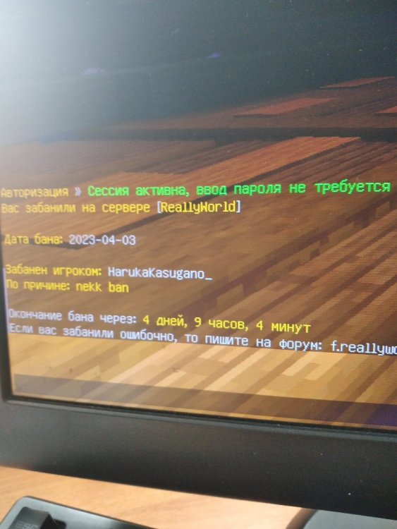 16813628811716850522042616176626.jpg