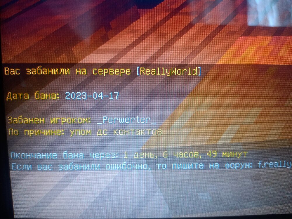 16818105402344281253599383773708.jpg