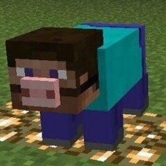 BOBR1NO
