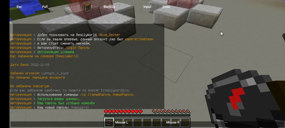 Screenshot_2022-11-20-22-05-16-978_com.tungsten.hmclpe.jpg