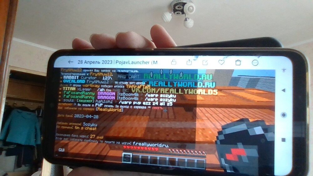 WIN_20230428_10_44_12_Pro.jpg