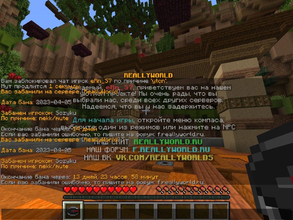 image.thumb.jpeg.045b12831e8d3ef7d092e46132bad374.jpeg