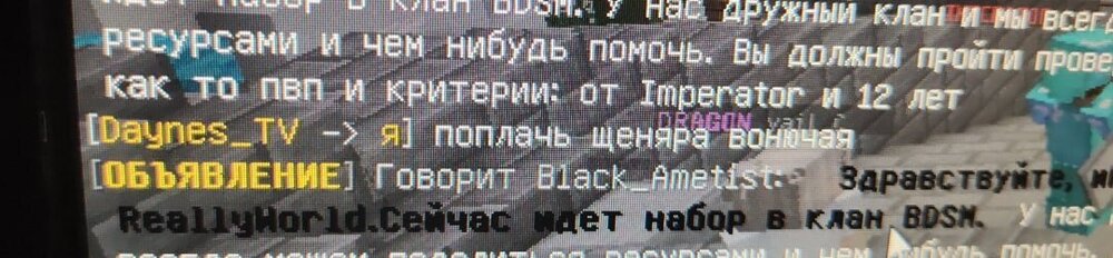 1684076974781.jpg