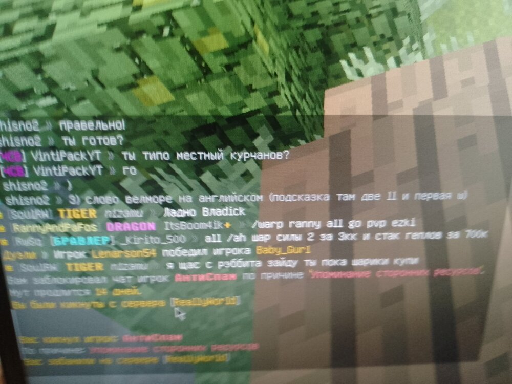 16846101224004974413316575886836.jpg