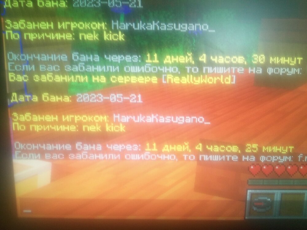 16849190871066935425989970231394.thumb.jpg.058b3f3cfab79625e462301eadf58e9f.jpg
