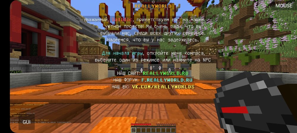 Screenshot_20230520_172734_PojavLauncher (Minecraft Java Edition for Android).jpg