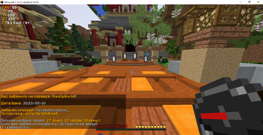 Minecraft 1.12.2 _ LabyMod 3.9.58  12.05.2023 21_32_18.png