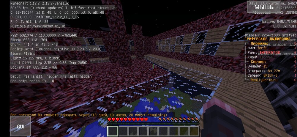 Screenshot_2023-05-12-09-20-52-506_net.kdt.pojavlaunch.jpg
