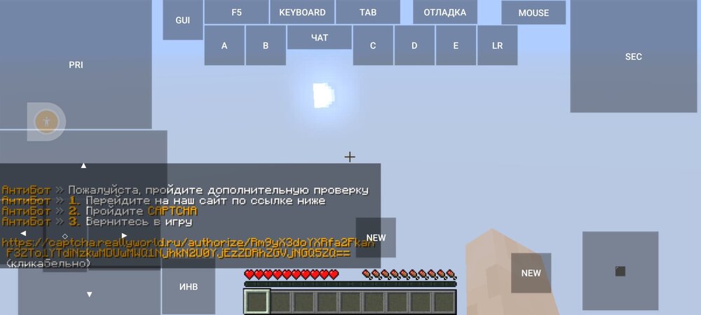 Screenshot_2023-05-23-08-57-15-304_net.kdt.pojavlaunch.debug.jpg