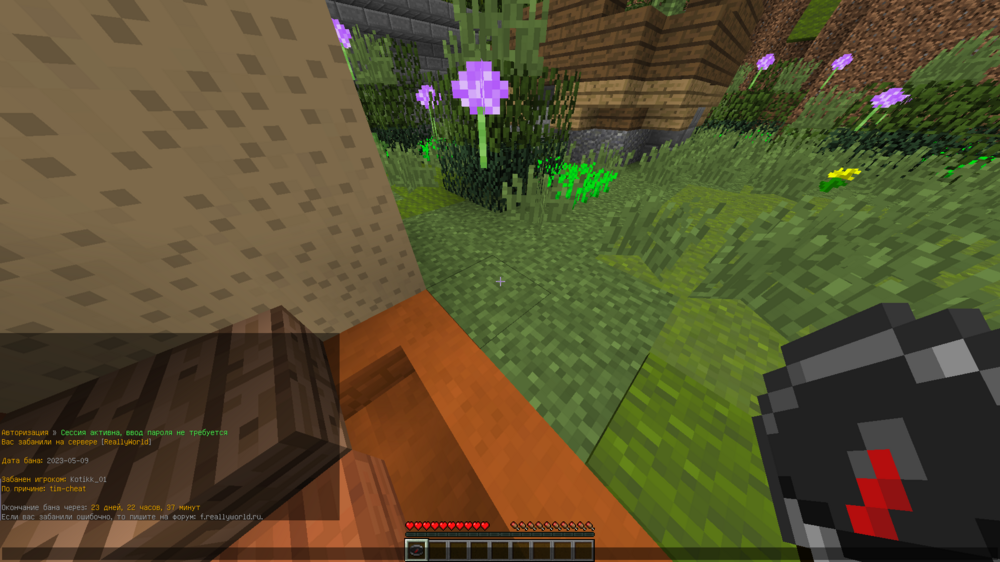 image.thumb.png.096cd1ce3906a0474871f5a2d6a0745d.png