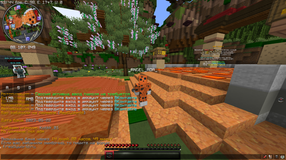 image.thumb.png.1e0c19fe57100f3aed5cdd2450cd3969.png