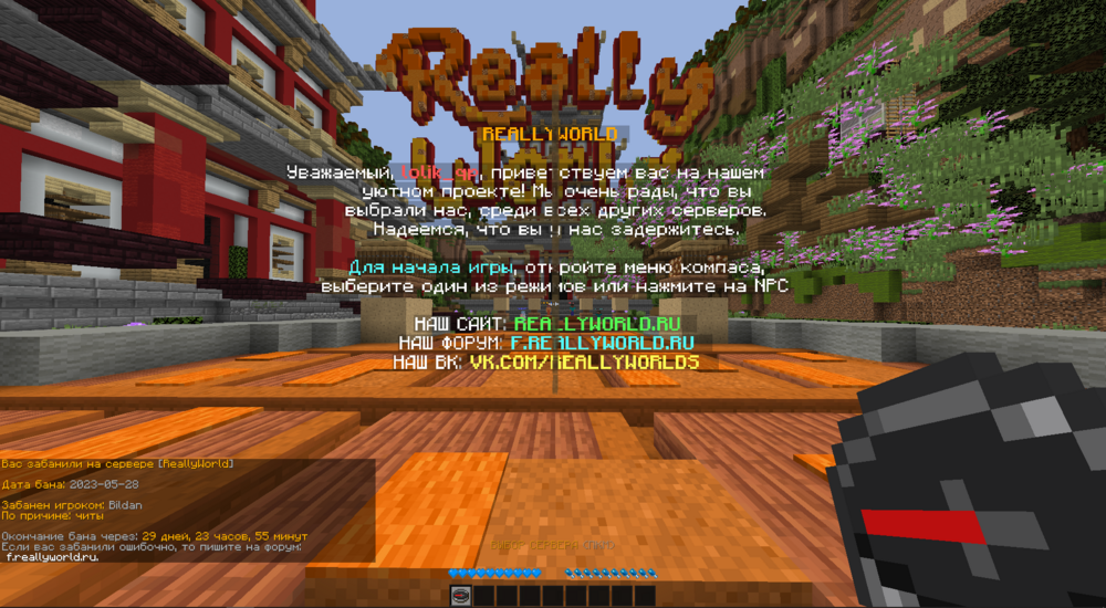 image.thumb.png.ba388eb24d36a10396f2df871e9163a1.png