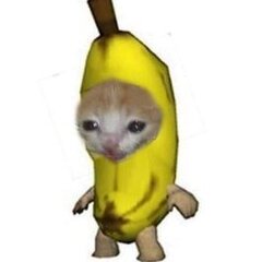 Hilusan