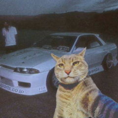 Rikr338