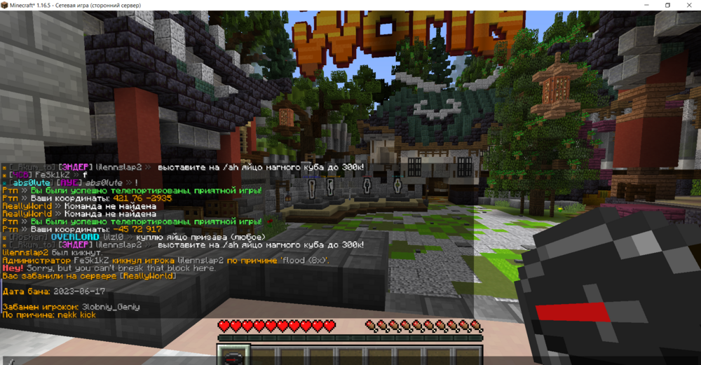 1809946943_Minecraft_1_16.5-()17_06.202314_59_45.thumb.png.171b97f53a63633b42c072fb92603bc6.png